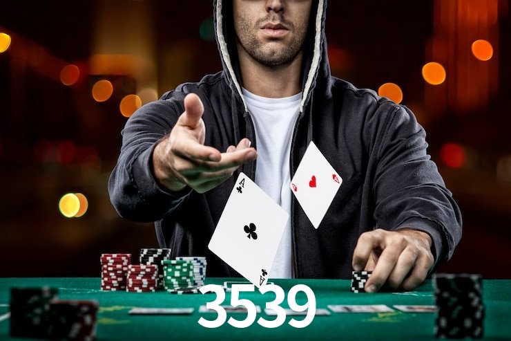 3539.com